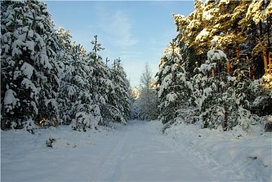 上线四年后《马里奥赛车巡回赛》将停止内容更新