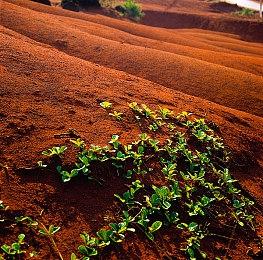 《前线任务2：重制版》4月30日登陆PC＆Xbox＆PS