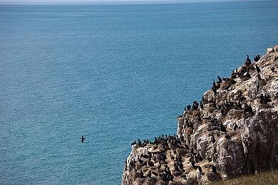知名爆料人：《生化危机4重制》共有40个奖杯